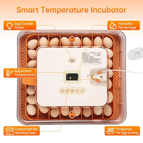 Miniatura 5 de Incubadora de 56 huevos para incubar huevos, girador automático inteligente y control de humedad, vista de 360°, vela incorporada Kit de eclosión