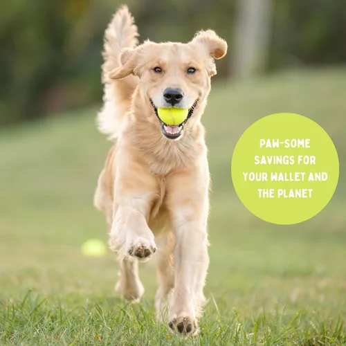 Miniatura 8 de 25-100 Pelotas de Tenis Usadas para Perros - Apoya una Organización sin Fines de Lucro de Reciclaje de EE.UU.: Pelota de Tenis Usada Limpia - Juego