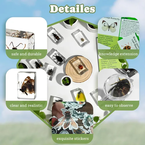 Miniatura 4 de Specimen de Insecto en Resina, Colección Educativa Científica de 12 Piezas, Exhibición para Aula de Ciencias en Preescolar, Specimens Reales