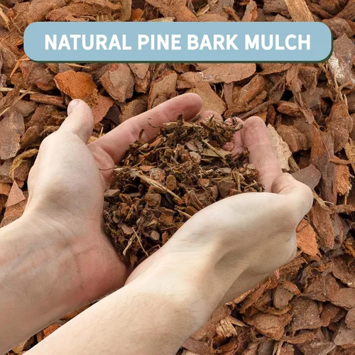 Miniatura 3 de Pepitas de mantillo de corteza de pino 100 % natural (8 cuartos de galón), pequeños chips de mantillo para jardinería en contenedores