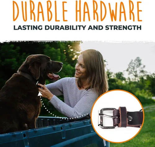 Miniatura 5 de Collar de perro de cuero Mighty Paw - Cuero genuino envejecido - Hebilla de metal fuerte - Comodidad máxima - Estilo moderno para todas las razas