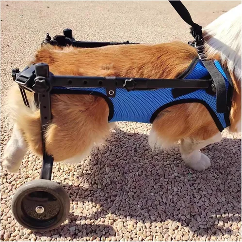 Herramienta ligera para caminar para perros, silla de ruedas ajustable para perros, soporte para piernas y soporte de cadera para perros pequeños,