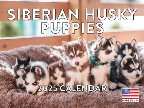 Miniatura 89 de Calendario de pared mensual 2025 Great Dane de 12 meses, fabricado en Estados Unidos