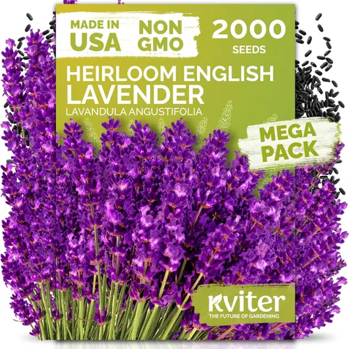 Miniatura 29 de KVITER 1000 semillas de quinua de cordero (Chenopodium Album) - Hierbas comestibles autóctonas, ideales para jardines de hierbas orgánicas