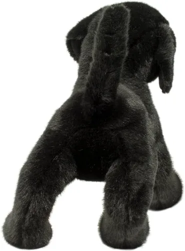 Miniatura 5 de Douglas Chester Labrador Negro Perro de Peluche