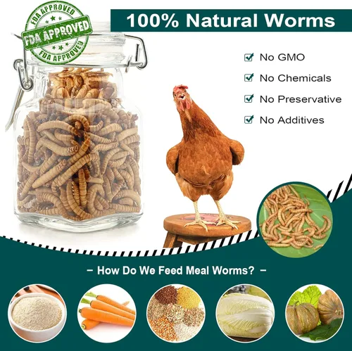 Miniatura 2 de Gusanos de harina secos de 44 libras para pollos, 100% naturales de calidad premium sin OMG, golosinas para aves de corral, pollos, patos y gansos