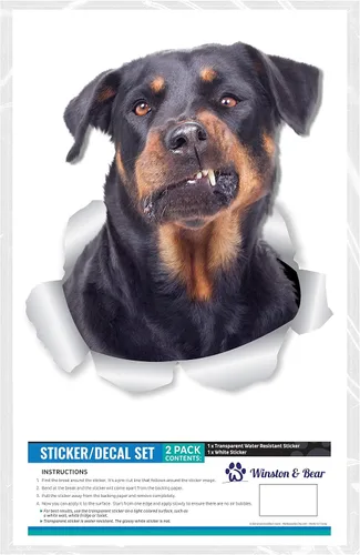 Miniatura 6 de Winston & Bear Calcomanías divertidas de pared para perros Rottweiler, paquete de 2, calcomanías 3D Rottie para paredes, automóviles, inodoro y más