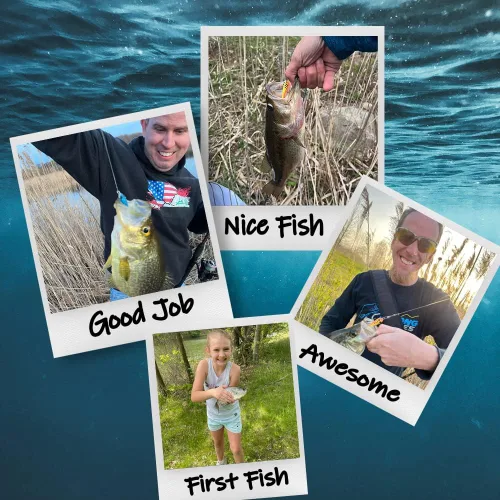 Miniatura 3 de DELONG LURES Señuelos de pesca sin malas hierbas de 3 pulgadas para lubina, crappie, bluegill, perca y trucha, vida de hundimiento lento como cebos