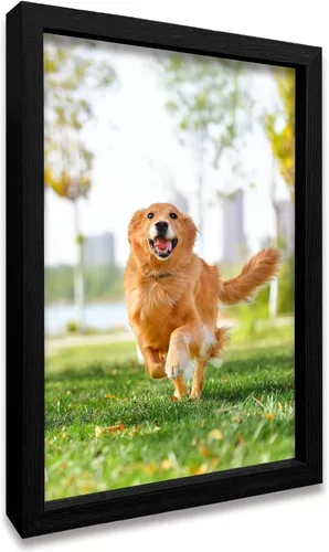 Miniatura 8 de Impresiones en lienzo personalizadas con tus fotos para mascotas, impresiones de fotos familiares, lienzo personalizado, aleación de aluminio, arte
