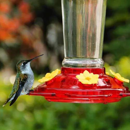 Miniatura 7 de Shrdaepe Comedero para colibríes, comedero para pájaros con botella de vidrio, 5 puertos de alimentación, capacidad de néctar de 10 onzas Rojo
