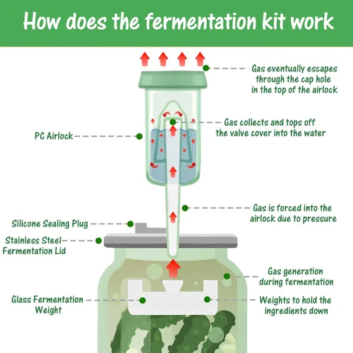 Miniatura 7 de Kit de fermentación, tapas de fermentación de acero inoxidable y pesos de vidrio para tarros Mason de boca ancha de 3.386 in (sin frascos)