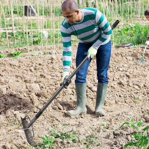 Miniatura 6 de Rastrillo de jardín resistente de 49 pulgadas con mango de acero inoxidable, rastrillo de cabeza de metal para aflojar el suelo, recoger la tierra