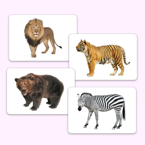 Miniatura 3 de Hungry Brain Tarjetas didácticas de números para niños pequeños de 1 a 6 años Tarjetas de aprendizaje de números educativos Montessori para bebés