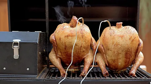 Miniatura 9 de Freedom - Parrilla de pellets portátil y ahumador: pantalla digital, sondas duales de carne, área de cocción de 242 pulgadas cuadradas, alimentado