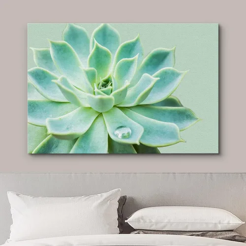 Miniatura 3 de wall26 Lienzo impreso para pared, diseño de rosa del desierto, suculentas, naturaleza, desierto, fotografía, realismo, floral, botánico, suroeste