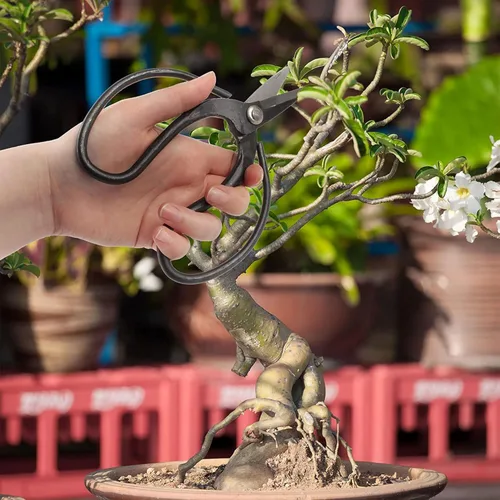 Miniatura 6 de BambooMN Bonsai Basics Set - Tijeras de corte de 7.2 pulgadas y tijeras de mariposa resistentes de 7 pulgadas - 1 juego Juego de cizalla de corte