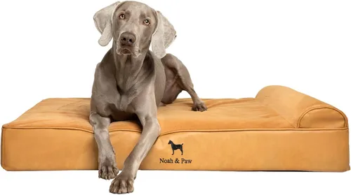 Miniatura 42 de NOAH & PAW Cama para perro, 28x23x7.5 pulgadas, camas ortopédicas para perros de tamaño mediano, espuma viscoelástica tipo cáscara de huevo Cuero