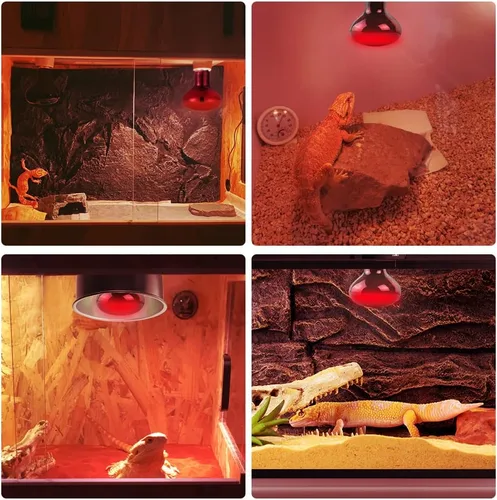 Miniatura 5 de LUCKY HERP Lámpara de Calor Infrarroja 50W Paquete de 2, Bombillas de Luz de Punto de Sol para Reptiles y Anfibios, Bombillas de Lámpara de Calor