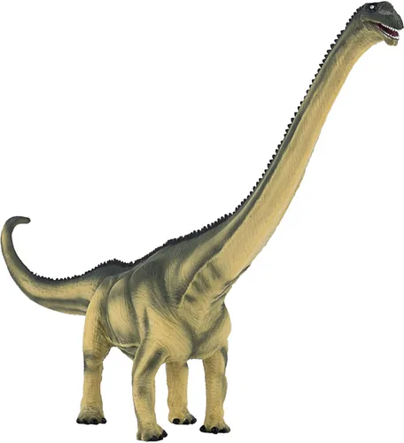 Miniatura 4 de MOJO - Figura de dinosaurio realista, Mamenchisaurus, verde, 11 x 2.2 x 7.5 pulgadas