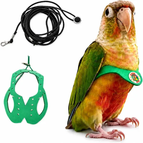 Miniatura 15 de Juego de arnés ajustable y correa para pájaros pequeños, apto para periquitos, conures, cacatúas, mejillas verdes, loros cuáqueros (verde, XS) 6350-6