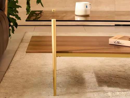 Miniatura 7 de Shrine - Mesa de café rectangular, diseño moderno de mediados de siglo, estructura de 2 niveles, parte superior de vidrio ámbar y estante de MDF