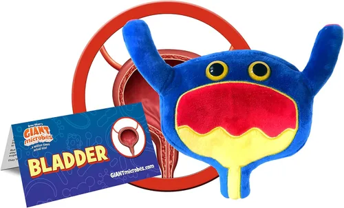 Miniatura 2 de GIANT MICROBES Peluche de vejiga, regalos de mordaza de urología, conciencia sobre el cáncer de vejiga, peluches de órgano, conciencia del cáncer