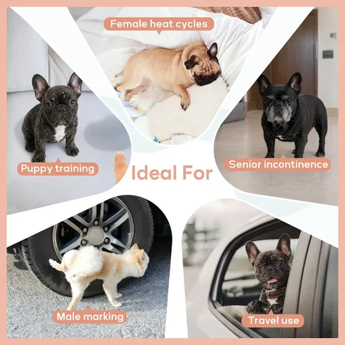Miniatura 7 de PUMYPOREITY Pantalones de bulldog francés para perro, hechos para cuerpo corto y pecho ancho, solución reutilizable lavable para marcado, Azul
