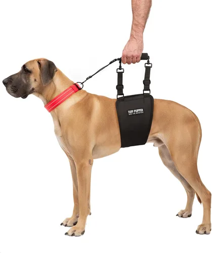 Miniatura 10 de Tuff Pupper Arnés de cadera para perros Soporte de elevación trasera para perros mayores y lesionados Ayuda de movilidad ajustable Mango