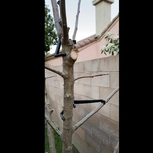 Miniatura 4 de Cunguv Esparcidor de ramas de árboles frutales para una fuerte extensión de ramas de ángulos de entrepierna, ramas de bonsái de plástico, negro 25