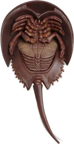 Miniatura 4 de Safari Ltd. Figura de cangrejo herradura – Figura detallada de plástico de 7 pulgadas – Divertido juguete educativo para niños, niñas y niños a