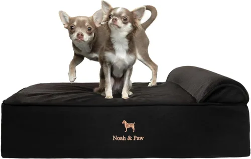 Miniatura 39 de NOAH & PAW Cama para perro, 28x23x7.5 pulgadas, camas ortopédicas para perros de tamaño mediano, espuma viscoelástica tipo cáscara de huevo Cuero