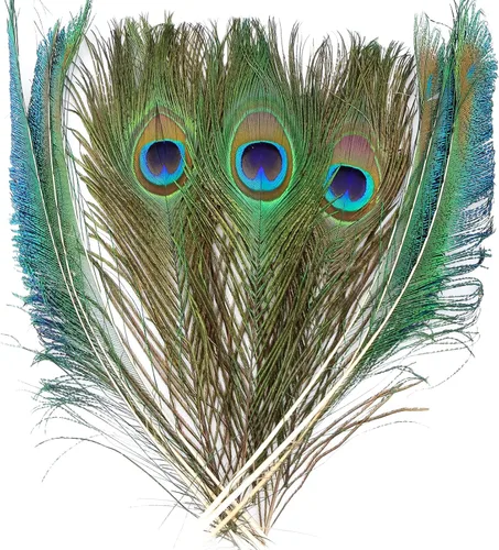 Miniatura 11 de iHUFeather 10 plumas naturales de ojo de pavo real de 10 a 12 pulgadas para arreglos florales, bodas, hogar y decoración de fiestas, natural
