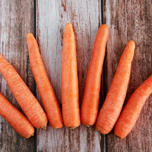 Miniatura 7 de Big A Fertilizante de zanahoria y fertilizantes de raíces - Fertilizante premium para zanahorias y huerto - Alimento orgánico para plantas