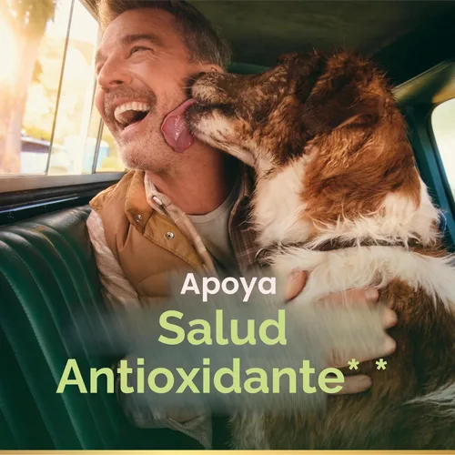 Miniatura 2 de Nature's Bounty Cápsulas blandas de vitamina E de 1000 UI, apoya la salud antioxidante y el sistema inmunológico, 1 porción por día, sin gluten, 60