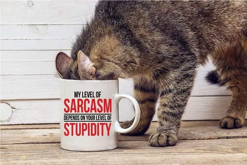 Miniatura 4 de CBTwear My Level Of Sarcasm Depends on Funny Sarcasm Depends on Funny Sarcástico de cerámica, decoración de escritorio inspiradora para la oficina