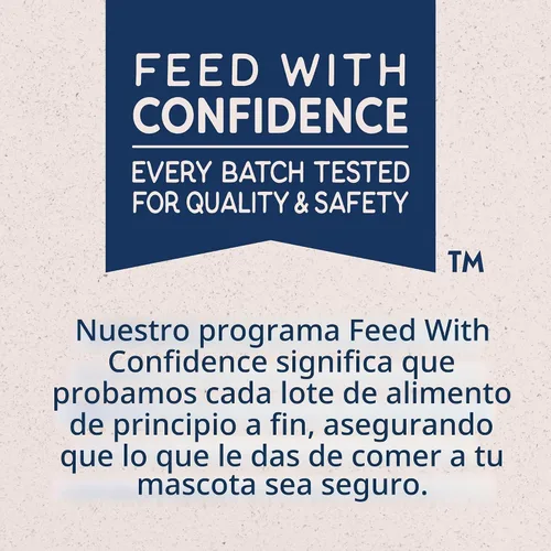 Miniatura 4 de Natural Balance Limited Ingredient Alimento enlatado húmedo para perros adultos, sin granos, receta de batata y salmón, 13 onzas (paquete de 12)