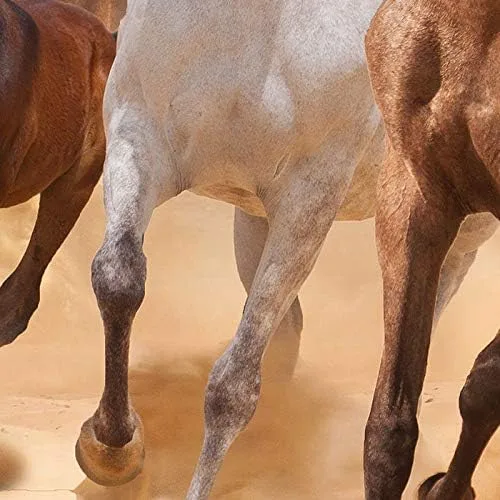 Miniatura 2 de Mural de pared de caballos, papel tapiz autoadhesivo de vinilo (27 x 46 pulgadas)