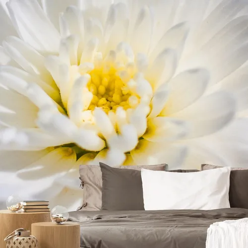 Miniatura 27 de NWT Murales de pared para dormitorio, hermoso diseño de imagen, papel tapiz extraíble, calcomanías de pared para despegar y pegar, 66 x 96 pulgadas