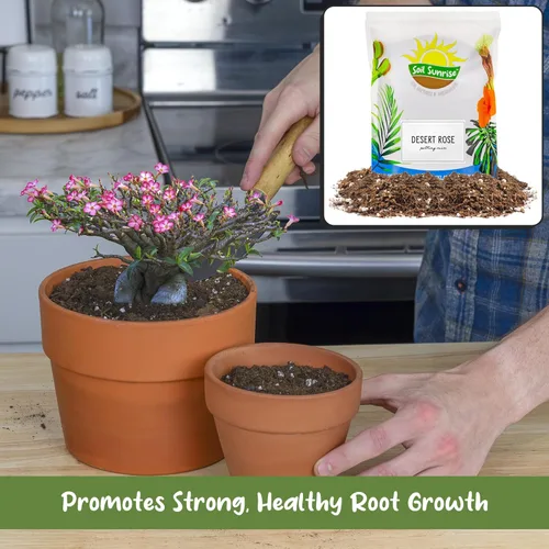 Miniatura 4 de Soil Sunrise Mezcla de tierra para macetas de rosas del desierto (8 cuartos) Mezcla de tierra de lotes pequeños mezclados a mano para plantas
