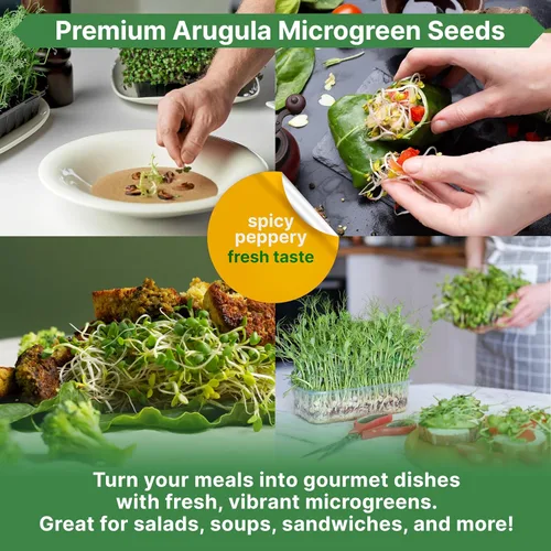 Miniatura 5 de Organo Republic Semillas de germinación de rúcula y microgreens – 55,000 semillas de reliquia sin OMG, brotes en bolsa resellable de 4 onzas