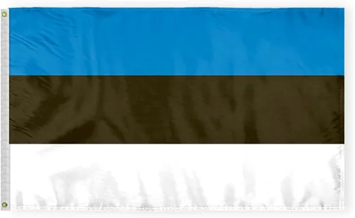 Miniatura 8 de AGAS - Bandera de Estonia de 5 x 8 pies, nailon 200D, 6 agujas cosidas, dobladillo con mosca, nunca se oxida, ojales de latón, bandera nacional