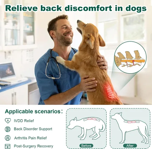 Miniatura 2 de Soporte de espalda para perro para IVDD, artritis, discos deslizados y herniados - Proporciona apoyo para la espalda y alivio del dolor, estabiliza