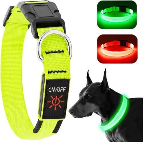 Collar de perro KOSKILL LED - Ajustable, recargable, impermeable, brilla en la oscuridad para perros medianos y grandes Verde