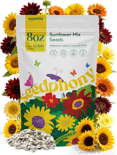 Miniatura 8 de Seedphony Paquete de semillas de equinácea de 1 onza – 9,300 semillas de equinácea sin OMG para plantar, flores perennes en paquete de semillas