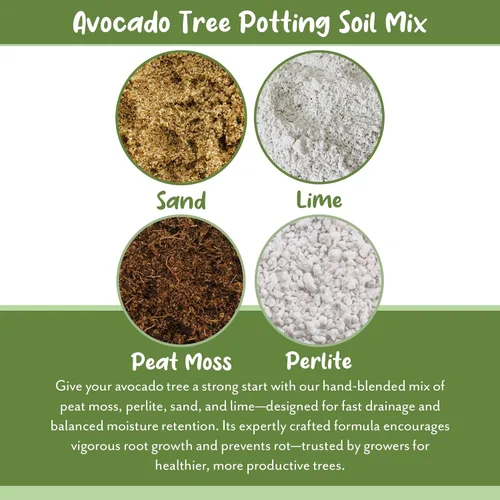 Miniatura 5 de Soil Sunrise Mezcla de Tierra para Macetas de Árbol de Aguacate (12 Cuartos) para Germinar, Cultivar y Trasplantar Plantas de Aguacate