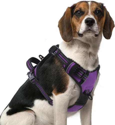 Miniatura 46 de PUPTECK Arnés para perro sin tirones para perros grandes, arnés para perro ajustable reflectante con mango de fácil control, arnés para mascotas
