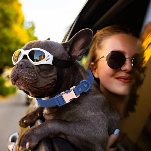 Miniatura 3 de Collar de perro impermeable con hebilla de metal de seguridad, duradero y fácil de limpiar, collar de perro de goma suave, collares ajustables