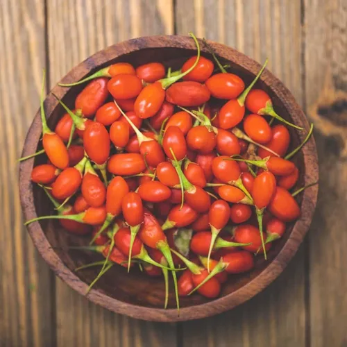 Miniatura 4 de TomorrowSeeds - Semillas de árbol de bayas de Goji - Más de 200 unidades - para plantar Lycium Chinense Superfood Wolfberry Asian Wellness Floración