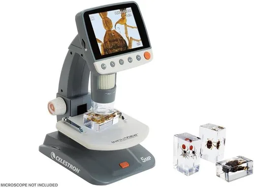 Miniatura 2 de Celestron Bugs 3D reales en resina transparente - Juego de 4 piezas incluye espécimenes de escorpión, cigarrilla, tejedor de orbes y escarabajos