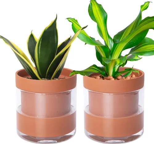 Miniatura 12 de Maceta Phoenix Vine de 6 Pulgadas con Riego Automático, Maceta de Arcilla Terracota con Reservario de Vidrio para Plantas de Interior, Hierbas